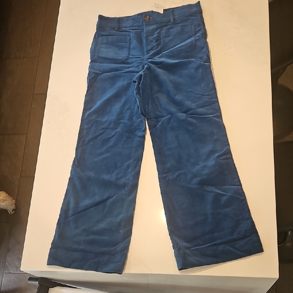 J. Crew Blue Corduroy Pants